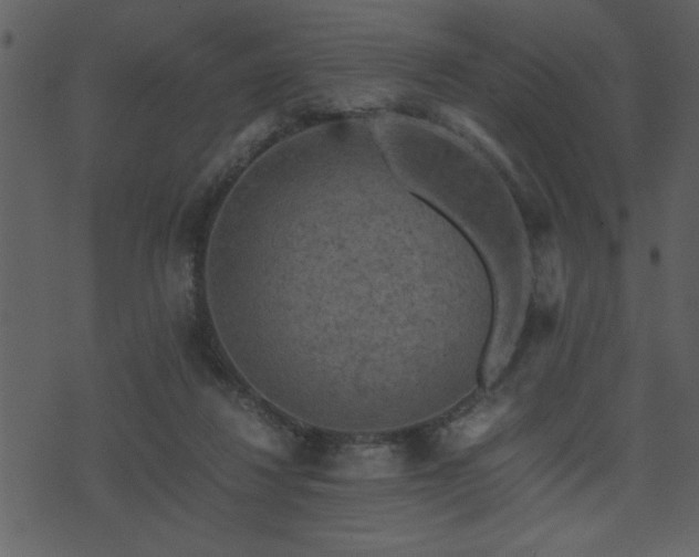 X0000071760260200606301137