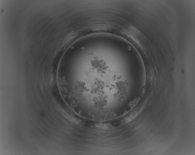 X0000071760261200606301137