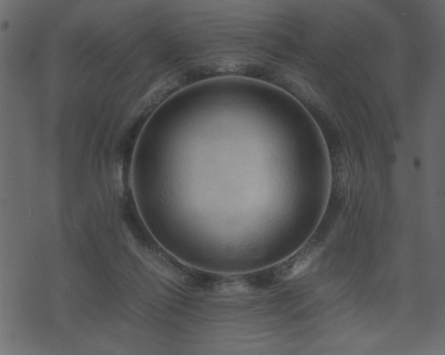 X0000071760262200606301137