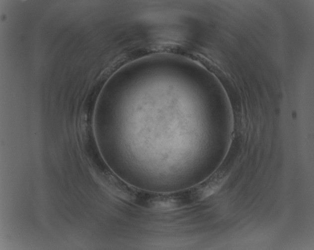 X0000071760263200606301138