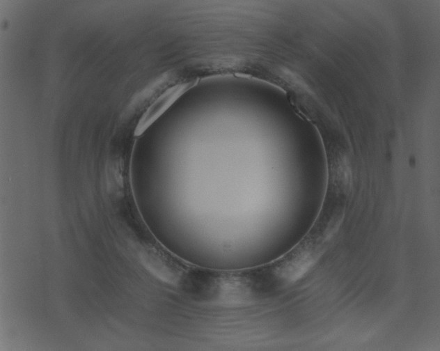 X0000071760264200606301138