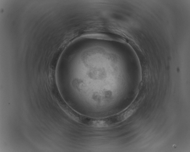 X0000071760265200606301138