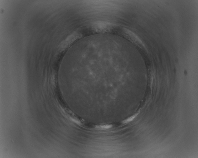 X0000071760266200606301138