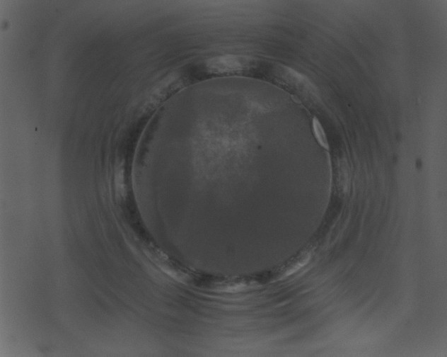 X0000071760267200606301138