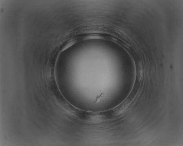 X0000071760268200606301138