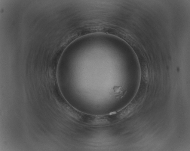 X0000071760270200606301138