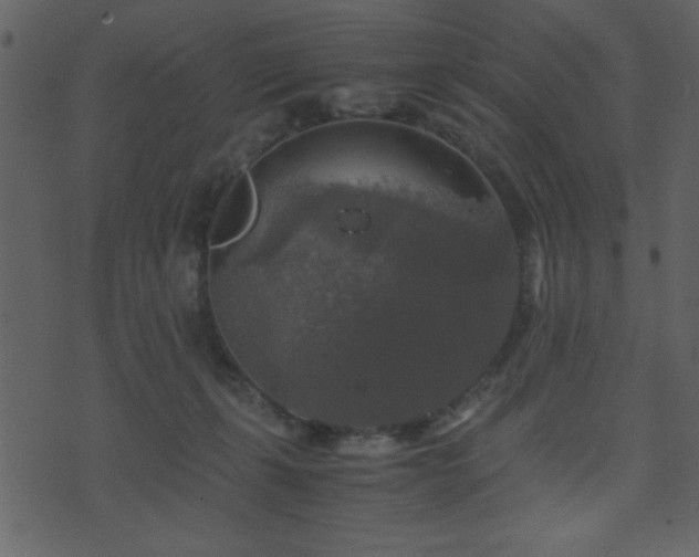 X0000071760271200606301138