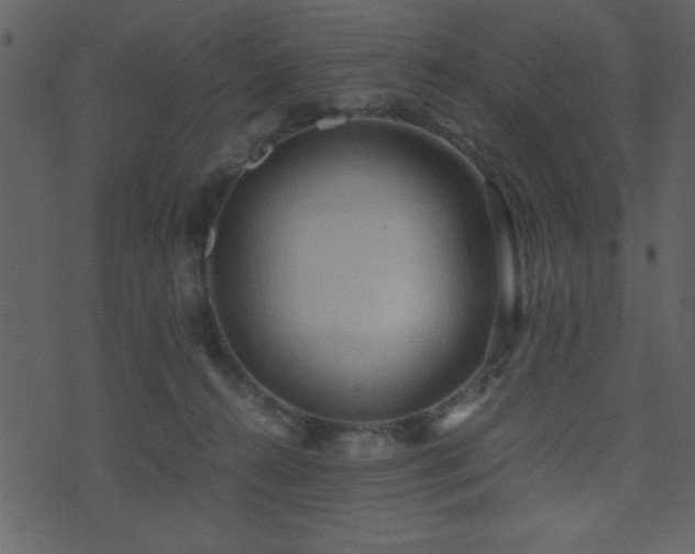 X0000071760272200606301138