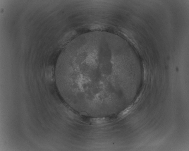 X0000071760273200606301138