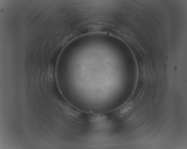 X0000071760274200606301138