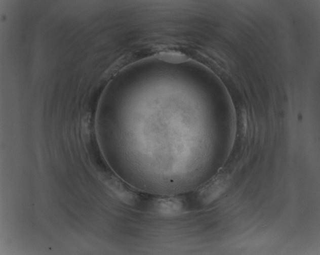 X0000071760275200606301138