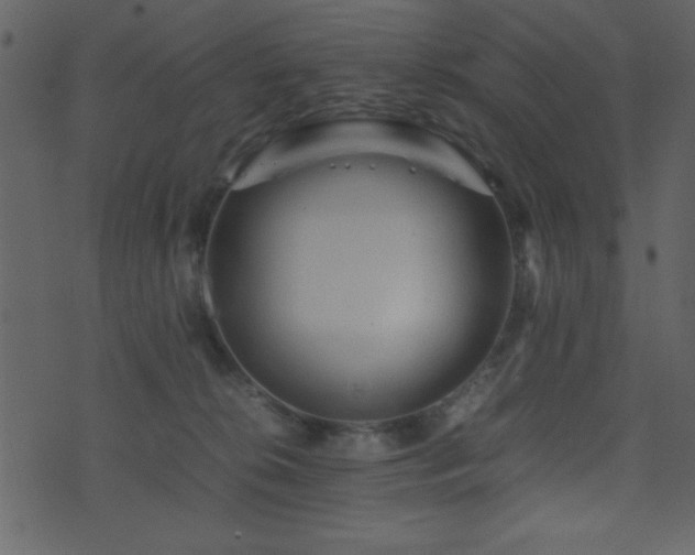 X0000071760276200606301138