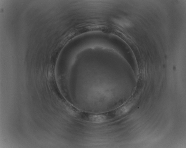 X0000071760277200606301138