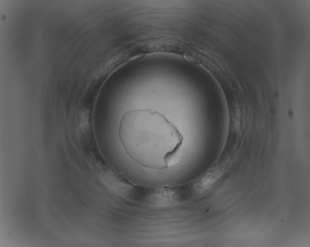 X0000071760278200606301138