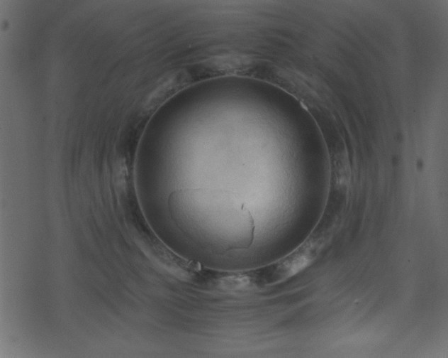 X0000071760279200606301138