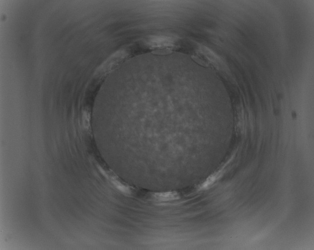 X0000071760281200606301138