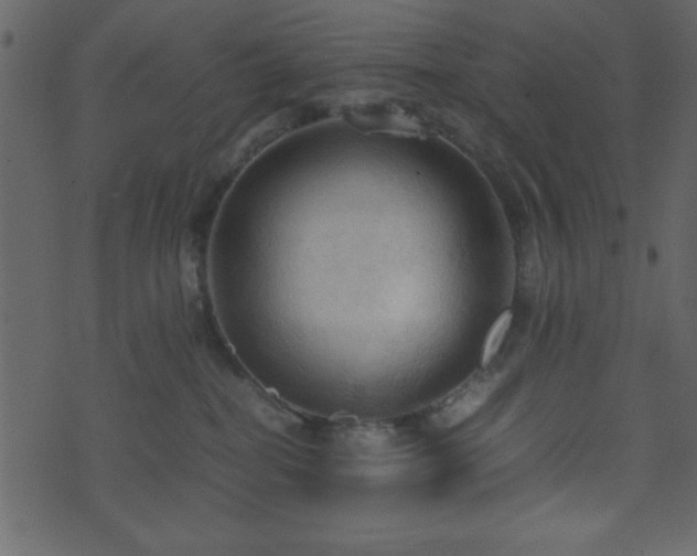 X0000071760282200606301138