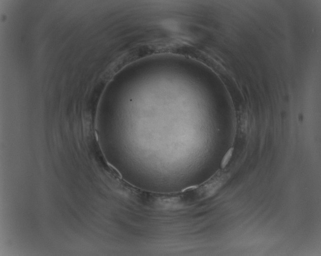 X0000071760283200606301138