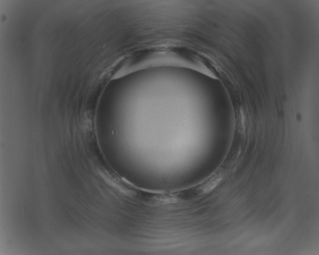 X0000071760284200606301138