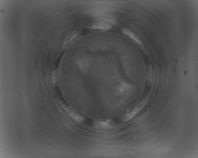 X0000071760285200606301138