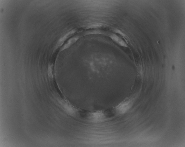 X0000071760286200606301138