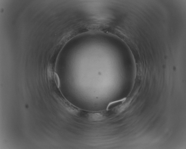 X0000071760287200606301138