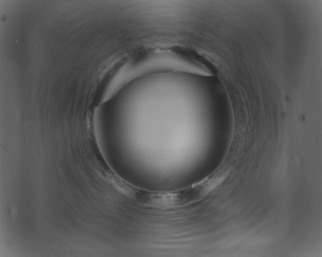 X0000071760288200606301138