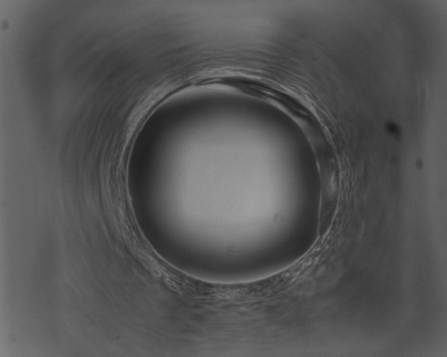 X0000071760289200606301137