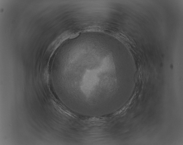 X0000071760290200606301137