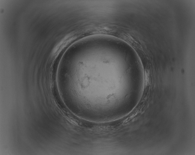 X0000071760291200606301137