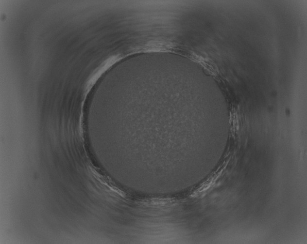 X0000071760292200606301137