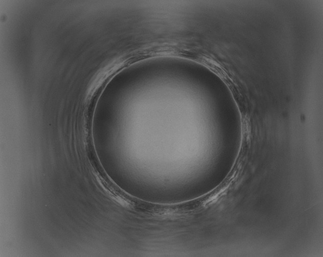 X0000071760293200606301137