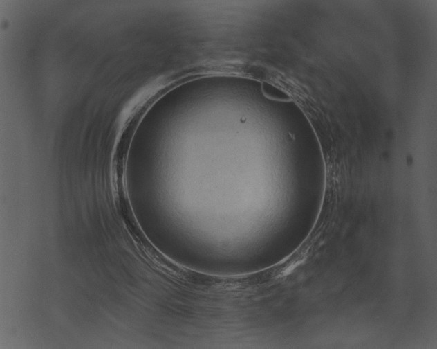 X0000071760294200606301137