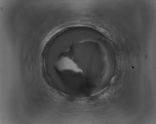 X0000071760295200606301137