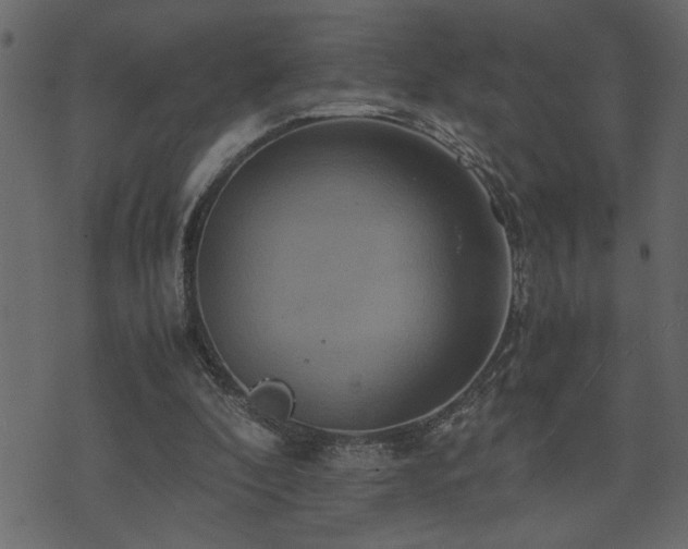 X0000071760296200606301137