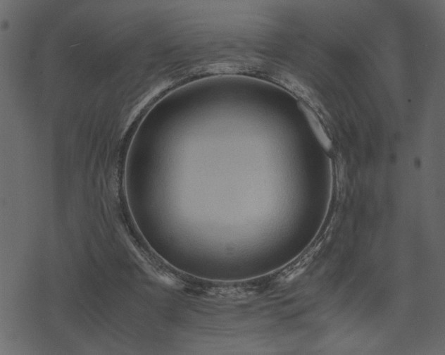 X0000071760297200606301137