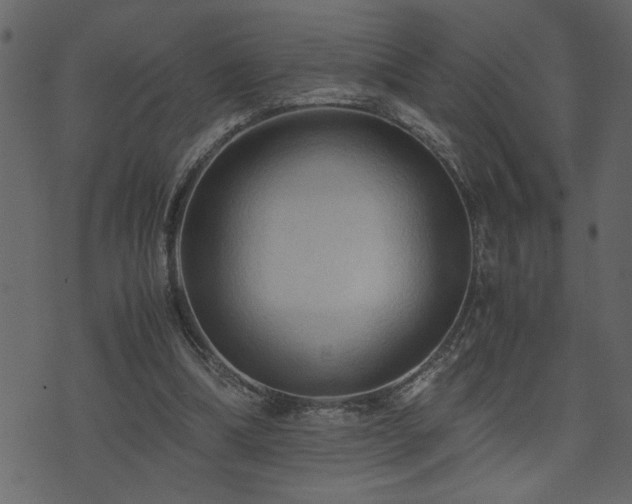 X0000071760298200606301137