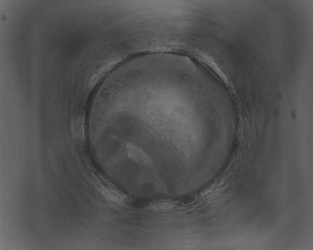 X0000071760299200606301137