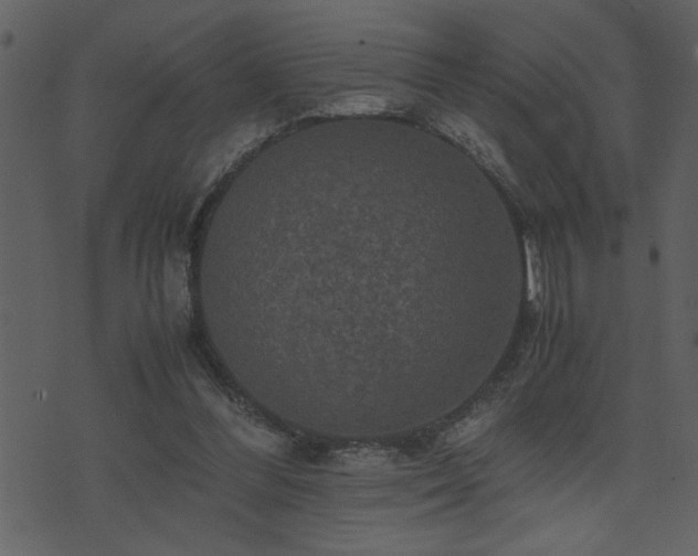 X0000071760300200606301137