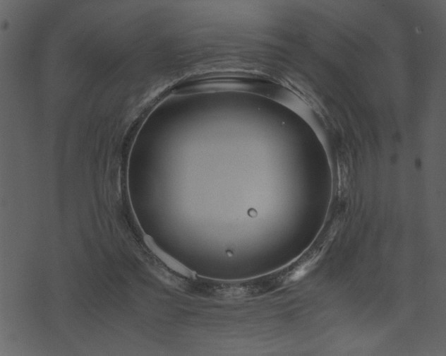 X0000071760301200606301137