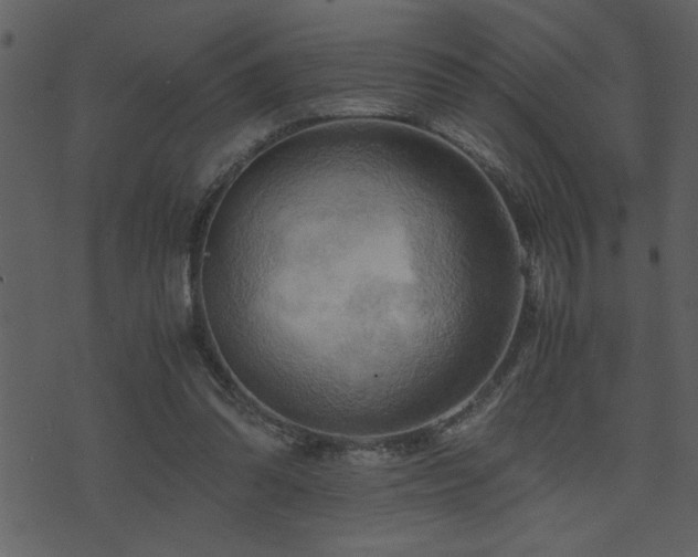 X0000071760302200606301137