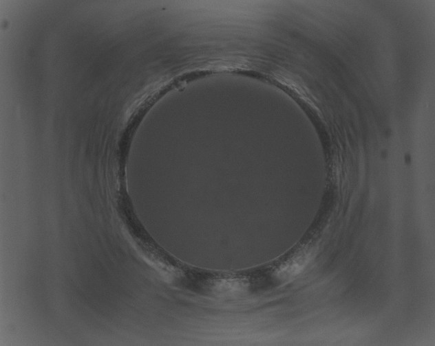 X0000071760303200606301137