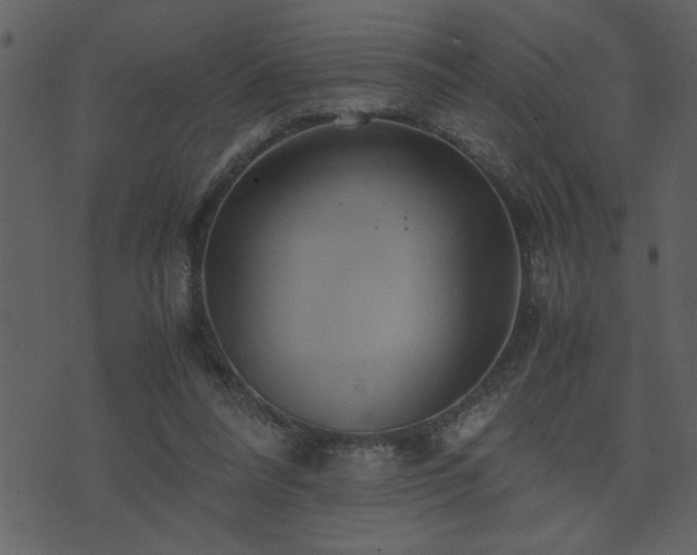 X0000071760304200606301137