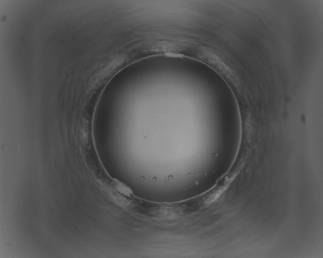 X0000071760305200606301137