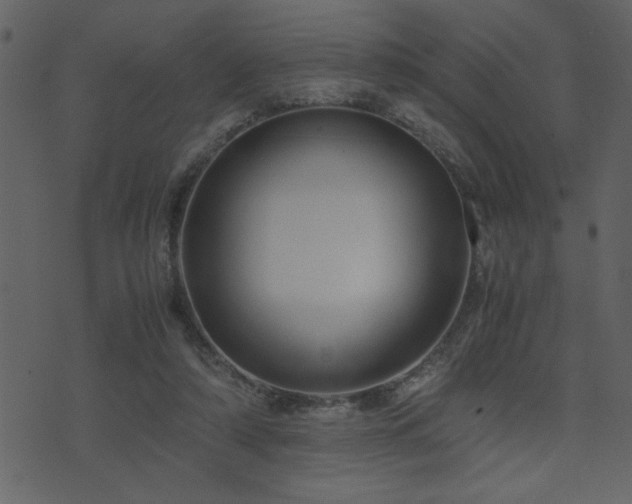 X0000071760306200606301137