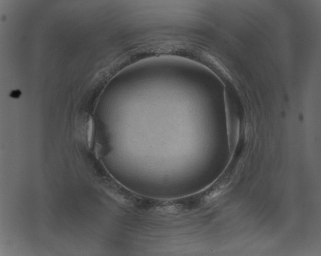 X0000071760307200606301137