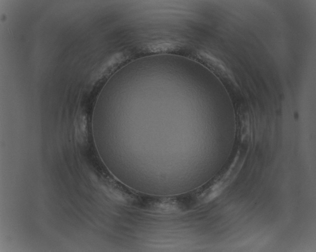 X0000071760308200606301137