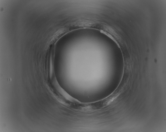 X0000071760309200606301137