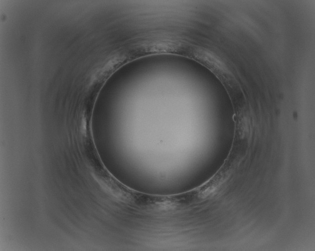 X0000071760310200606301137