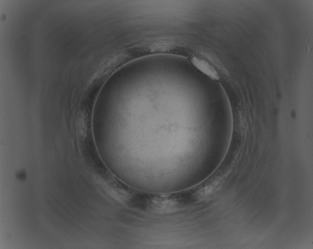 X0000071760311200606301137